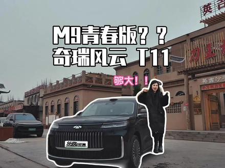 慎入!这辆车直接把我焊车里了 #奇瑞风云T11#说车聊车#丝路车评中心#我与汽车的日常