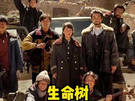 生命树开分8.1,口碑爆棚! #青海 #生命树 #杨紫 #胡歌 #演员