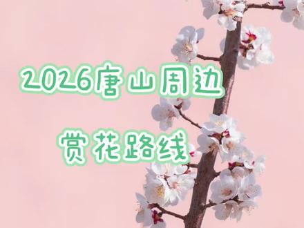 #唐山 市区开车一小时免费赏花露营地
🌸遵化桃花山(杨家峪村北)
花期:3月下旬-4月上旬万亩山桃;免费;自驾走112国道;山间桃花+村落,适合航拍
🌸遵化白羊峪长城
花期:4月上旬长城脚下梨花海;门票景区段,长城步道免费;自驾导航白羊峪村;长城+梨花同框,汉服拍照绝佳
🌸遵化娘娘庄李庄子村
花期:4月初梨花;免费;乡道两旁成片,适合慢游、野餐
🌸迁西花乡果巷(东莲花院镇)
花期:4月中旬梨花,配套梨花文化节;免费入园;自驾迁唐公路;有风车
🌸迁安长城山野绿道(五重安镇)
花期:3月上旬-下旬山杏花;免费;绿道自驾/骑行,沿途古村+长城+杏花,风光原始
#春日赏花 #小众旅行地 #周边游#周末去哪玩