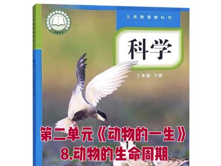 三下科学实验视频 #真实生活分享 教科版科学三年级下册第二单元《动物的一生》8.动物的生命周期#小学生物