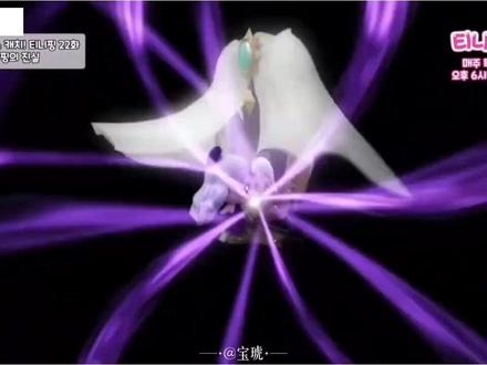 『转载/奇妙萌可第七季/中文字幕/@宝琥』月食萌可的秘密