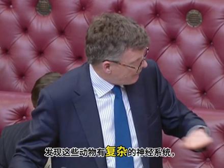 白左有多颠:活龙虾将被禁止直接投入沸水烹煮