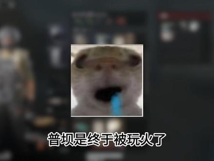 这就是普坝吗? #这是一个悲伤的故事 #内容过于真实 #三角洲