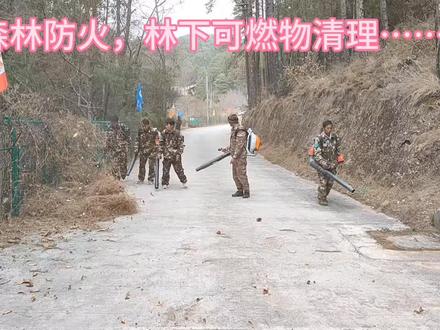 森林防火,人人有责,林下可燃物清理…….