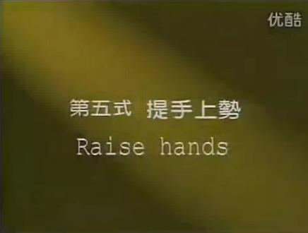 85式传统杨氏太极拳分解动作 演示 赵幼斌老师