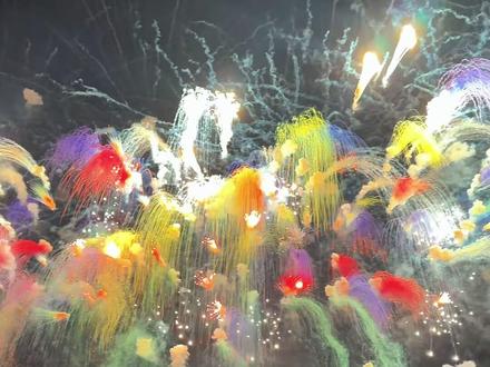 分享各种类型的烟花,你见过哪一种? #烟花秀