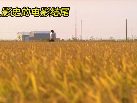 杀人回忆 #杀人回忆 #悬疑