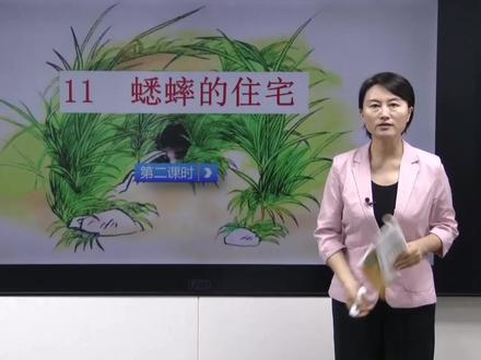 024部编版四年级语文上册第11课《蟋蟀的住宅》(第二课时) #四年级语文上册 #语文 #暑假预习