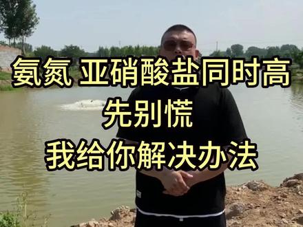 氨氮 亚硝酸盐同时高先别慌 ,我给你解决办法!#水产养殖 #氨氮超标 #亚硝酸盐
