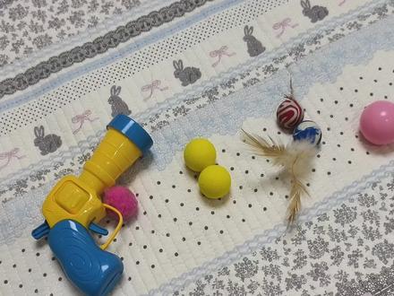 养猫家庭球类玩具大点评 优缺点都有讲,按需购入
#猫咪 #萌宠出道计划 #玩具 #猫玩具 #球类玩具