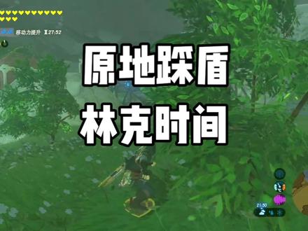 #塞尔达传说旷野之息 原地踩盾林克时间
