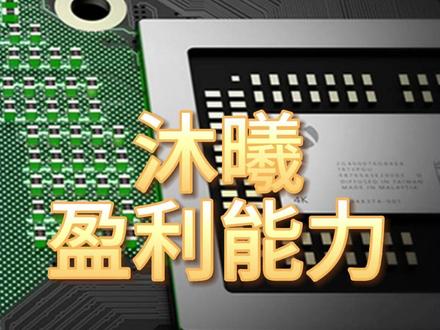 沐曦,盈利最强的10家企业 #沐曦 #盈利能力