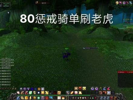 80惩戒骑单刷老虎
手残党浅刷一下🐯
#魔兽世界