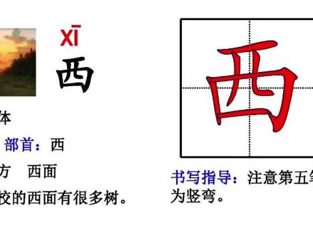 一年级上册生字~西#一年级语文 #每天学习一点点 #抖音小助手dou上热门