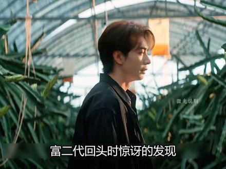 电视剧枭起青壤解说 地枭原来长的像个鹌鹑 #枭起青壤