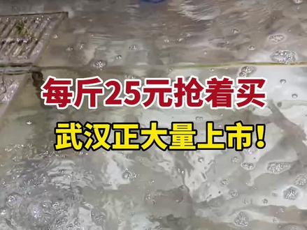 本地#基围虾 每斤25元,武汉大量上市!#民生关注