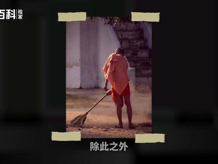 芦苇——芦苇属中唯一的世界种 #芦苇 #科普