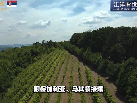 这个首都被摧毁40次的国家,8个邻国7个是北约 很多人对塞尔维亚的印象,就是便宜、夜生活好。
但很少有人知道,这个看起来不大的国家,藏着欧洲最复杂的历史和文化。
它被 8 个国家围着,打了上千年的仗,一座首都被摧毁重建了 44 次,却依然站在那里。
90年代,它经历了人类历史上最严重的恶性通胀。
但它没有倒下,也没有屈服。
它是第一个与中国构建新时代命运共同体的欧洲国家,在我们最困难的时候,永远坚定地站在我们这边。
今天,武契奇总统再次来到中国。
这不是一次普通的访问,这是两个历经磨难却依然坚韧的国家,再一次的携手同行。
这就是塞尔维亚,一个把所有伤疤和真实都大大方方展示给你看的国家。#江洋看世界 #武契奇访华 #塞尔维亚 #全球创作者计划 #世界国家