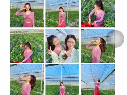 👭快@你的闺蜜一起去草莓园里拍照八#草莓🍓 #采摘采摘啦