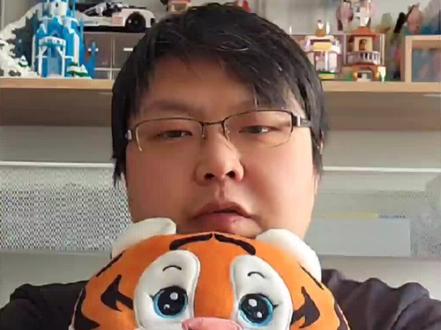 选购积木,分清砖块大小,乐趣也不一样#乐高#积木 #欢乐时刻 #颗粒积木