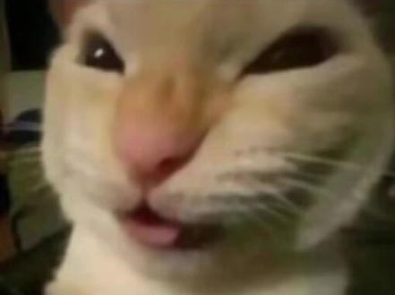 跑刀冷知识 #三角洲行动 #三角洲行动跑刀 #三角形代肝