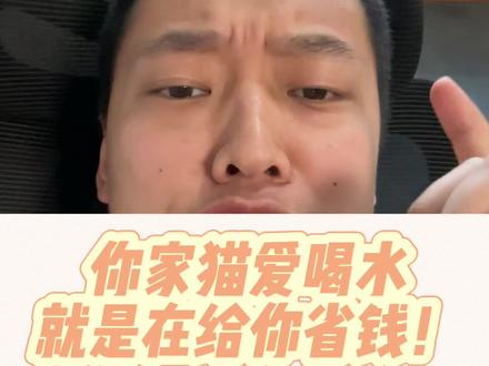 你家猫爱喝水!就是给你省钱!#养猫人#科学养宠攻略 #养猫新手