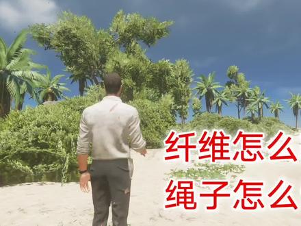 荒岛求生:没有纤维就无法制造绳子,纤维又是如何获得? #荒岛求生 #深海搁浅 #纤维 #皛志游戏