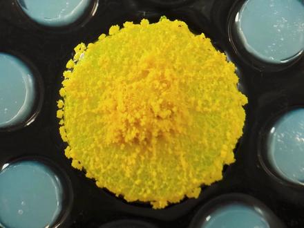 在水面上放置一些岛屿,黏菌会找到并连接它们吗