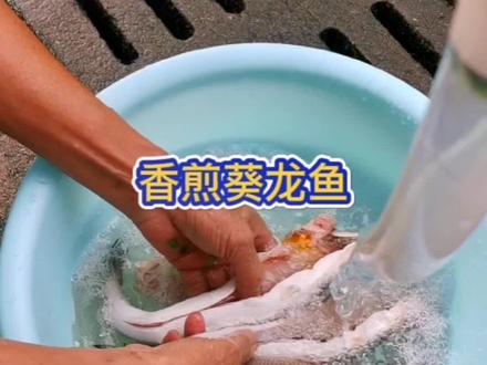 北海美食葵龙鱼饼#家乡的味道