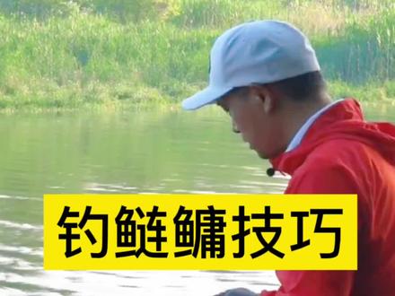 邓刚老师分享,钓鲢鳙的技巧#钓鱼技巧 #钓鱼 #钓鱼人