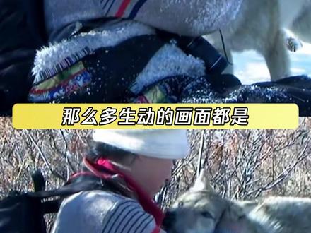 最初不愿格林留下的是他 最后不愿格林离开的也是他#重返狼群 #李微漪 #亦风 #格林 #鹅滴神片