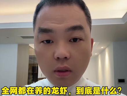 全网都在养的龙虾,到底是什么?#南昌晨驰#电脑行业 #养龙虾 #2026热门梗 #AI打工人