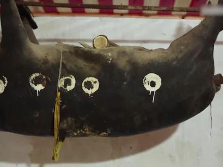 56年前的臭猪肉,你敢吃吗?