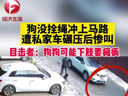 #意外狗狗遭私家车碾压后惨叫 目击者:狗狗可能下肢瘫痪#善待动物关爱生命 #心疼