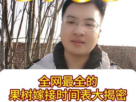 果树嫁接时间表 #果树 #嫁接 #果园 #果树管理 #果园种植