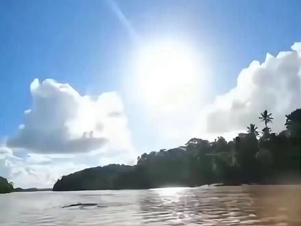 遇到这些我该跑吗?选错了直接全剧终 #动物 #科普