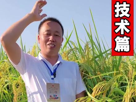 种粮大户难不难?#三农 #农民 #小麦 #农民不易 #粮食人