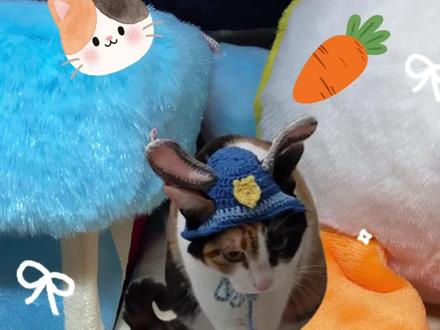 扭扭棒手作-萝卜纸巾猫咪 原视频@超级无敌大开门 #萝卜纸巾 #我和我的猫 #真棒 #手工diy #扭扭棒