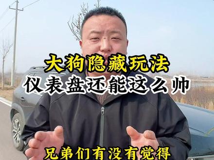 哈弗大狗仪表盘还能这么玩?30秒教你定制专属界面,科技感拉满。#哈弗大狗 #汽车知识 #仪表盘设置 #汽车隐藏功能 #用车小技巧