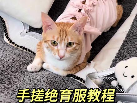 手搓绝育服教程 🌟四个小tips:
1️⃣ 衣服尽量选择透气有弹性的
2️⃣ 最好是你穿过 闲置的,有你的气味小猫更安心~
3️⃣ 制作时尺寸可大不可小,大了可以调整,小了就要重新做了~
4️⃣ 可以多裁剪几件,方便换洗~同一件穿很多天会很脏的!
#猫咪绝育服 #新手养猫指南 #自制绝育服