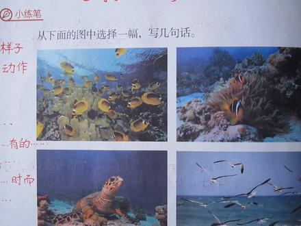 三上语文《富饶的西沙群岛》课后小练笔,范文指路,一起来写一写#小学语文 #作文 #知识分享 #萌知计划