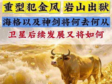 中国卫星后续发展如何?金风 岩山 海格 神剑又将何去何 #中国卫星 #金风科技 #开板 #热点 #财经