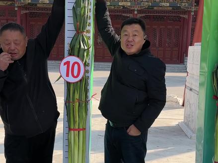 2023年章丘大葱高度2.586米、突破新吉尼斯世界纪录!