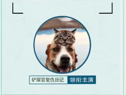 夏天给狗狗解暑的冰淇淋制作! #宠物 #萌宠好物 #宠物知识 #宠物零食 #萌宠出道计划 #自制狗粮