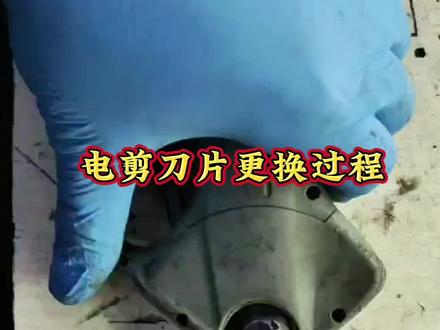 电动剪刀刀片更换过程#电剪子维修 #锂电剪刀 #锂电锯 @DOU+上热门 @山东莱阳绿都园林机械