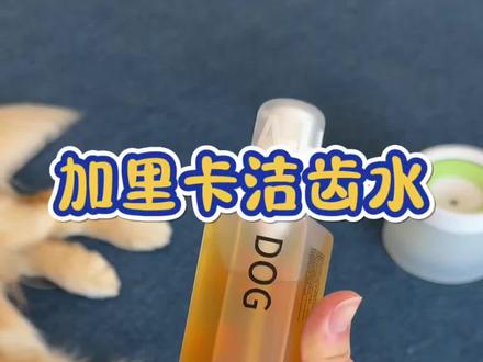 家里猫猫狗狗嘴巴有臭鸡蛋味的 加里卡这款洁齿水真的可以试一试 #萌宠好物 #宠物洁齿水 #加里卡洁齿水
