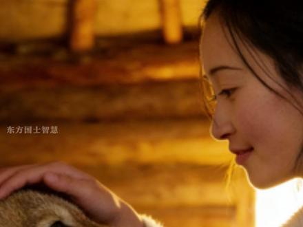 狼王格林居然已经死了,而且死在了一个他本不该出现的地方。2021 年 6 月,人们在若尔盖草原发现了他。那不是草原深处的猎场,也不是狼群的领地,而是一间早已废弃的小木屋旁。屋檐下,风轻轻吹过,他蜷缩的身影让人心一紧。#重返狼群 #狼王格林 #李微漪 #格林