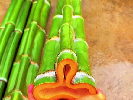 带你认识不同的竹子你们都见过哪些 #竹 #科普