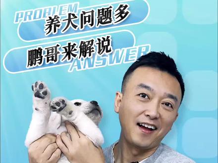狗便便什么样才算健康的?很多家长都错了!合格的铲屎官一定要学会看狗便便#狗便便 #狗狗健康 #铲屎官