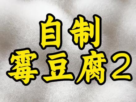 第二次自制好玩的霉豆腐,成功率更高,更容易乳化,结尾有彩蛋😂#自制霉豆腐 #豆腐乳 #臭豆腐煎霉豆腐#真实生活分享计划 #充能小事叫吃饭